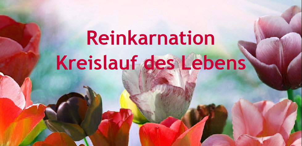 Reinkarnation
Kreislauf des Lebens